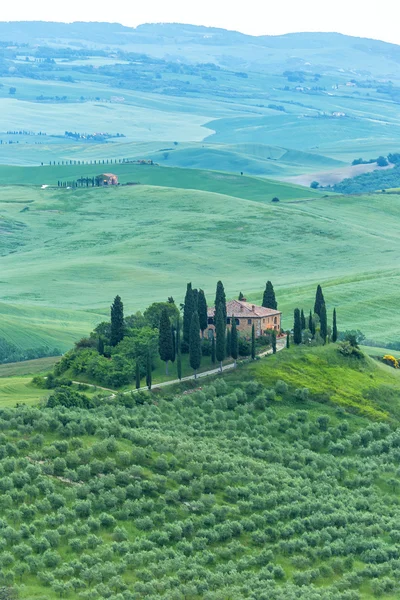 Paisaje de Toscana, colinas y prados, Toscana - Italia — Foto de Stock