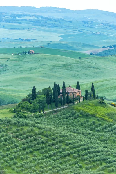 トスカーナ、丘と牧草地、トスカーナのイタリアの風景