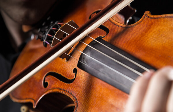 Detail a violinist playing his instrument