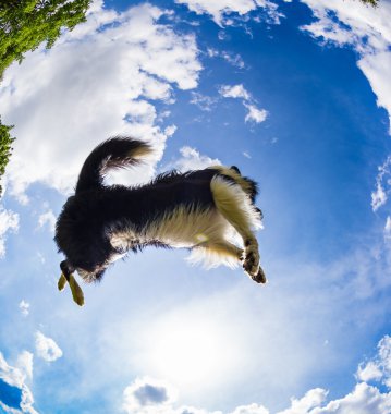 Kenar kömür ocağı için topu atlama