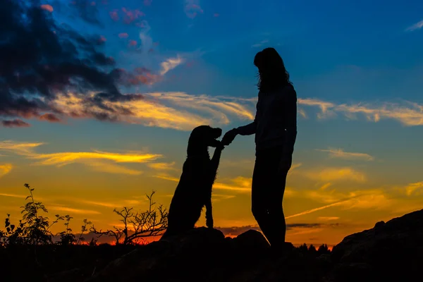 A silhouette of a young woman and her mutt dog. — Stock Photo, Image