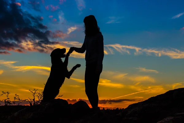 En silhuett av en ung kvinna och hennes mutt hund. — Stockfoto