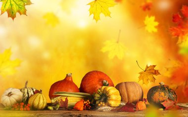 güzel sonbahar arka plan