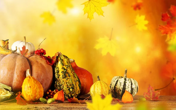 Bellissimo sfondo autunno — Foto Stock