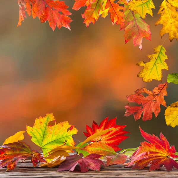 Güzel sonbahar arka plan — Stok fotoğraf
