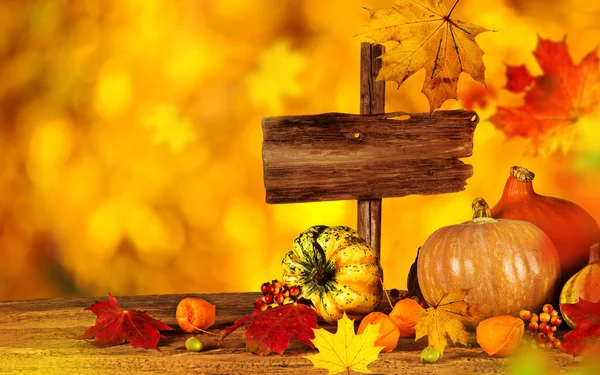 Mooie herfst achtergrond — Stockfoto