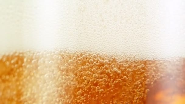 Bira bardağında kabarcıklar kabarcıklar yükseliyor. — Stok video