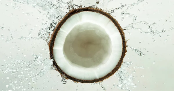 牛奶溅在椰子上的冻结运动 — 图库照片