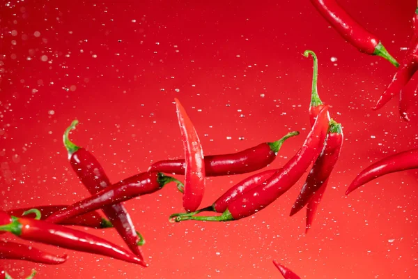 Pimentas vermelhas de pimenta quente voando em movimento de congelamento — Fotografia de Stock