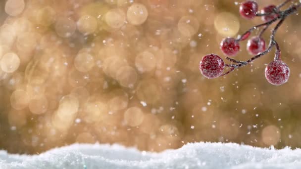 Natale Natura morta con luci in background e fiocchi di neve caduta. Super rallentatore. — Video Stock