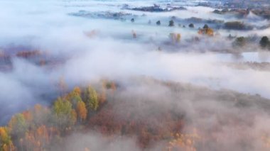 Sabahın erken saatlerinde sisle muhteşem sonbahar ormanı üzerinde uçarken, hava manzarası.