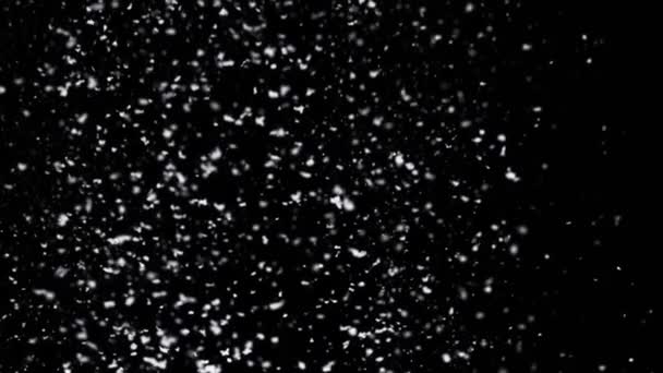 Vintern snö faller isolerad på svart bakgrund. — Stockvideo