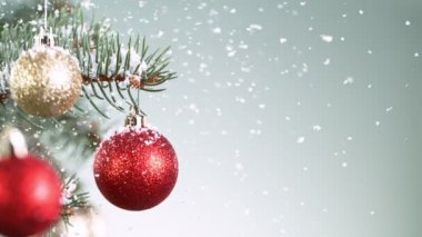 Kar Taneleri Düşen Noel Spruce şubeleri. Süper Yavaş Hareket.