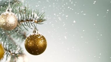 Kar Taneleri Düşen Noel Spruce şubeleri. Süper Yavaş Hareket.