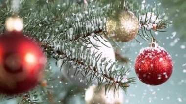 Kar Taneleri Düşen Noel Spruce şubeleri. Süper Yavaş Hareket.