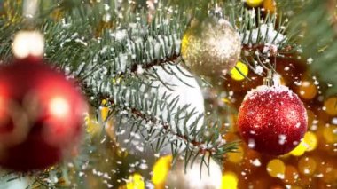 Kar Taneleri Düşen Noel Spruce şubeleri. Süper Yavaş Hareket.