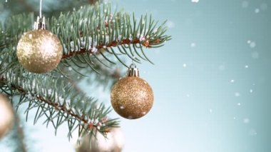 Kar Taneleri Düşen Noel Spruce şubeleri. Süper Yavaş Hareket.