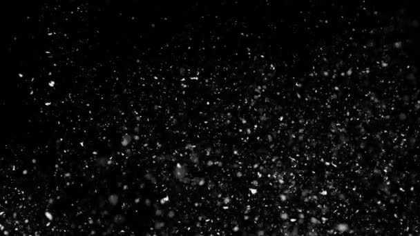 Winter Snow Falling Isolated on Black Background. — Stock Video