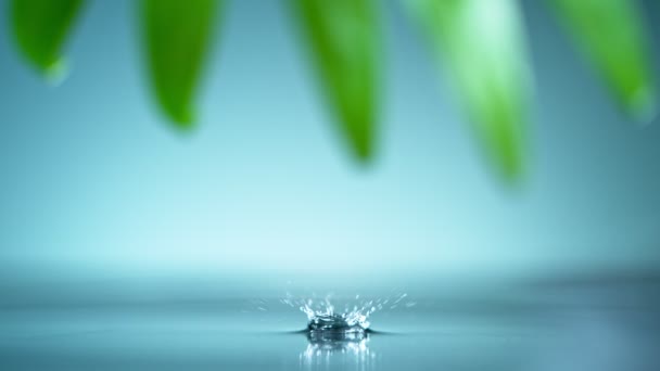 Super slow motion droppande vatten droppe filmad med makro lins. — Stockvideo