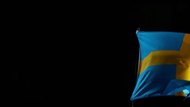 Fechar a bandeira da Suécia Acenando no vento. — Vídeo de Stock
