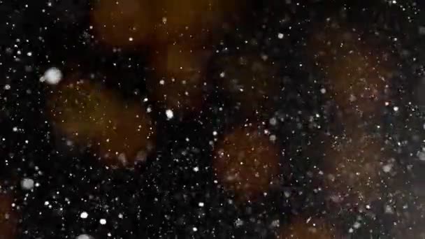 Winter Snow Falling Isolated on Black Background. — Stock Video