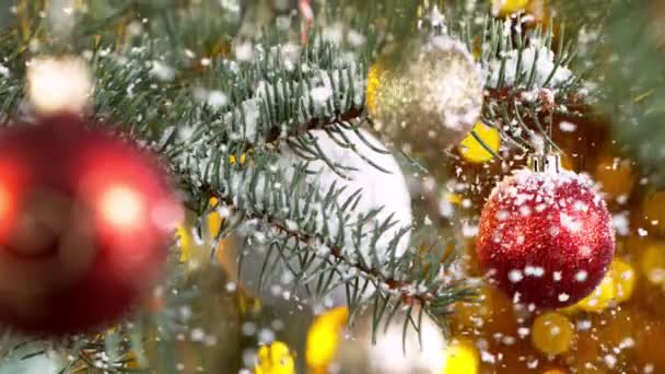 Rami di abete rosso natalizio con fiocchi di neve cadenti. Super rallentatore. — Video Stock