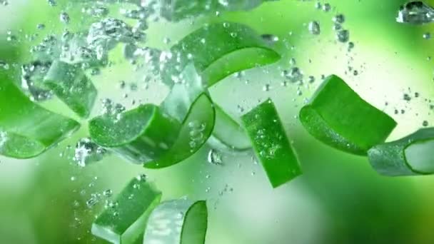 Super Slow Motion Skott av Aloe Vera skär faller i vatten på grön bakgrund — Stockvideo