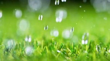 Yeşil Çimen 'e düşen Yağmur Damlaları. Süper Yavaş Hareket.