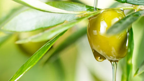 Pouring olive oil and branch — Stock Photo, Image