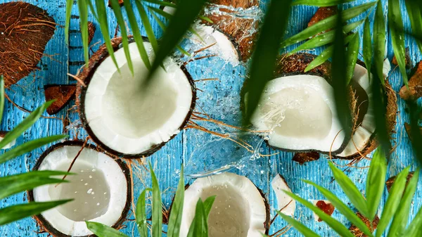 Kokosové ořechy s palmovou větví na dřevěném stole — Stock fotografie