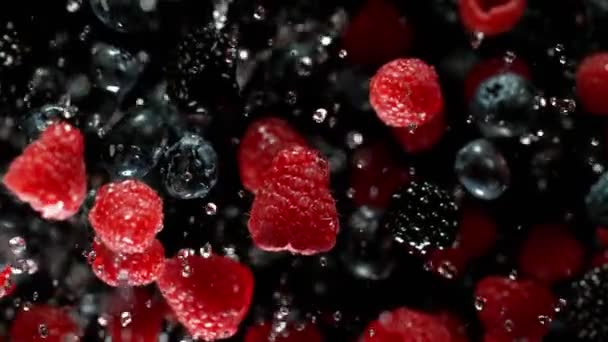Сверхмедленный ход летящих ягод — стоковое видео