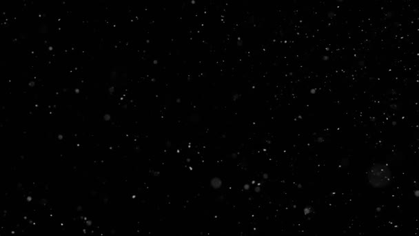 Super pomalý pohyb záběr reálného sněžení izolované na černém pozadí — Stock video