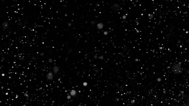 Super Slow Motion Shot of Real Snowfall izolowane na czarnym tle — Wideo stockowe