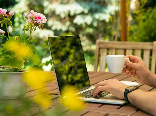 Mann arbeitet am Laptop im Garten und trinkt Kaffee. — Stockfoto