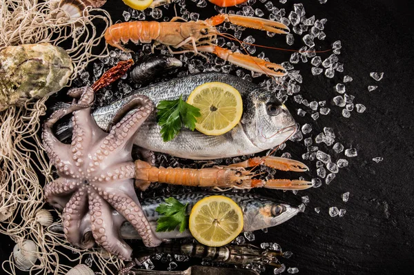 Marisco, cangrejo, gambas, pescado, filete de salmón, pulpo, ostras y otras conchas — Foto de Stock