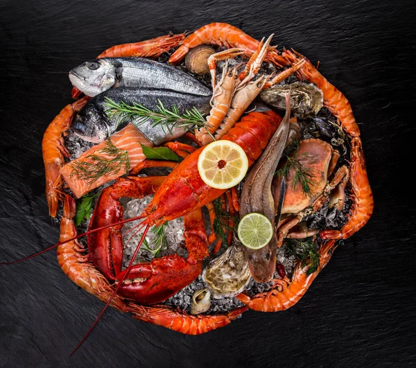 Whole lobster with seafood, crab, prawns, fish, salmon steak, octopus, oyster and other shells — Stock Photo, Image