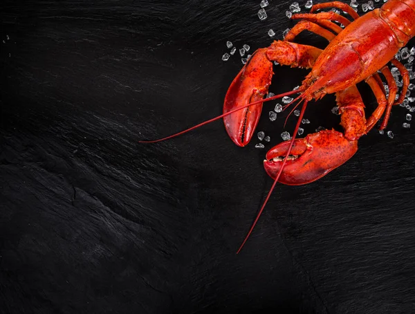 Lobster utuh dengan makanan laut, kepiting, udang, ikan, steak salmon, gurita, tiram dan kerang lainnya — Stok Foto