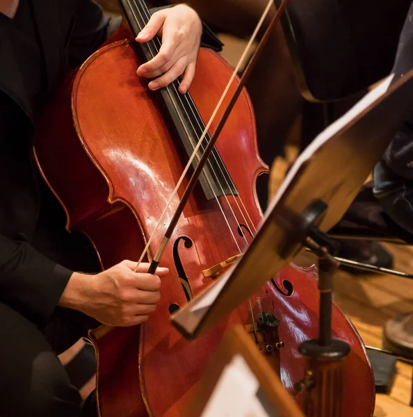 Контрабас профессиональный игрок с симфоническим оркестром в исполнении — стоковое фото