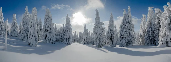 Paysage hivernal incroyable avec neige et ciel bleu — Photo