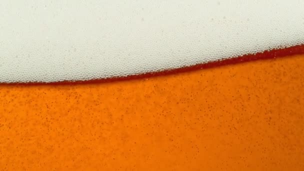Super Slow Motion Detalle Shot of Rippling Beer Bubbles — Vídeo de stock