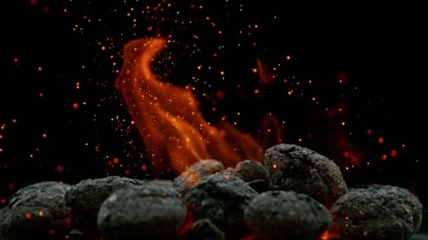 Black Charcoal in Bonfire, Super Slow Motion — Stock Video