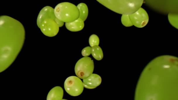 Fresh Grapes Pieces Falling on Black Background — Stock Video