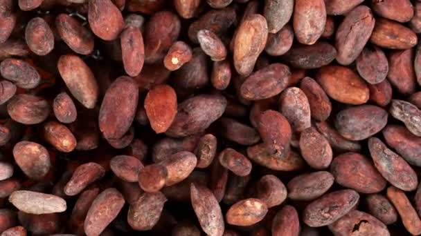 Super Slow Motion Skott av rörliga råa kakaobönor — Stockvideo
