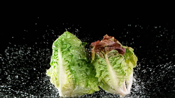 Свіжий салат падає на чорний фон . — стокове фото