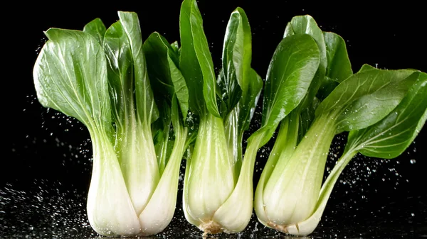 Färsk pak choi faller på svart bakgrund. — Stockfoto