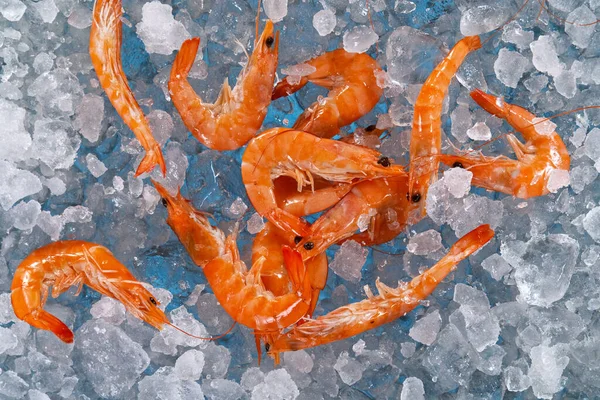 Close Up of Fresh Shrimps Lying on Crushed Ice. — Stok Foto