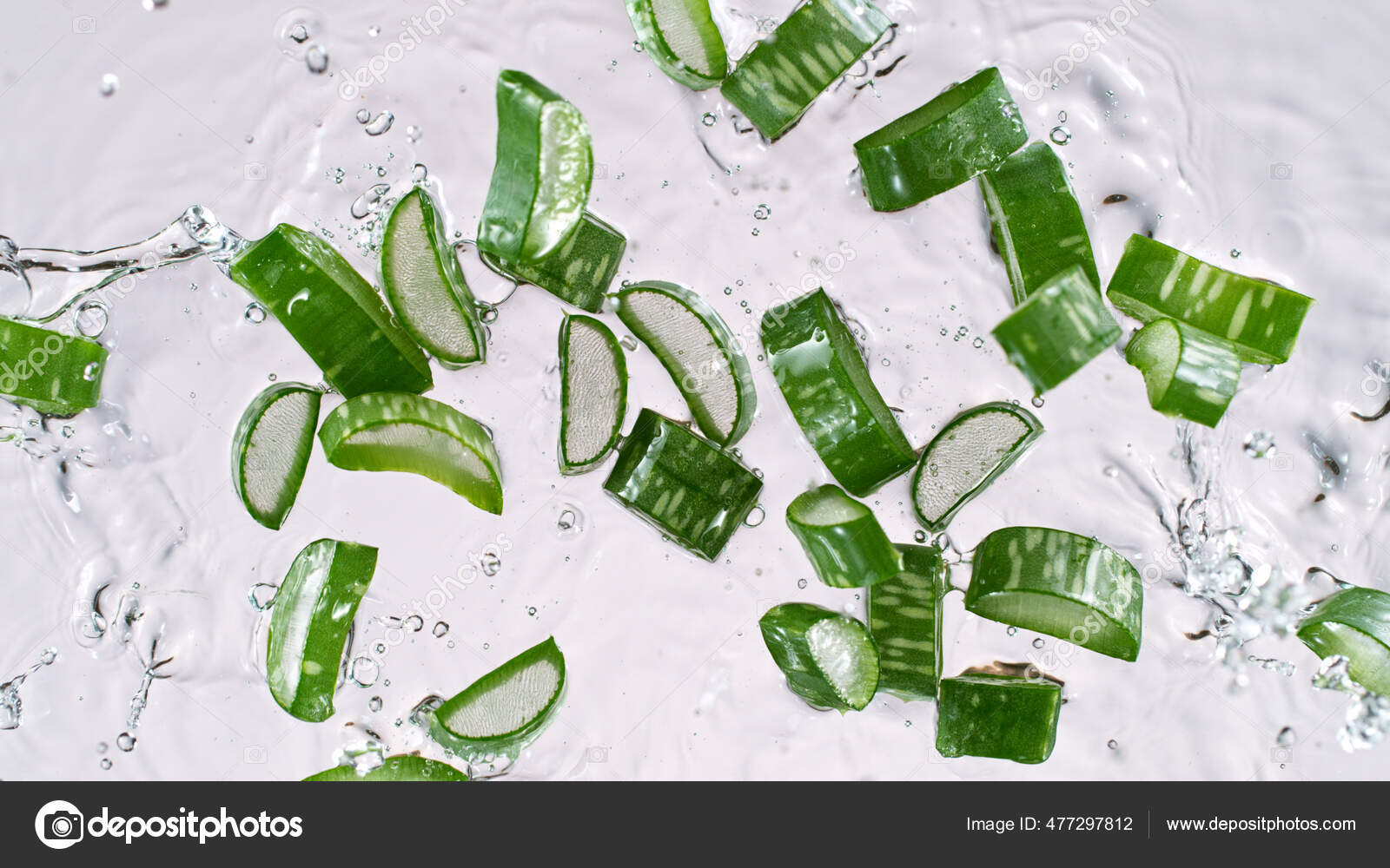 empresario Recuento guirnalda Aloe Vera en rodajas, congelar el movimiento, aislado sobre fondo blanco.: fotografía de stock © Kesu01 #477297812 | Depositphotos empresario Recuento guirnalda Aloe Vera en rodajas, congelar el movimiento, aislado sobre fondo blanco.: fotografía de stock © Kesu01 #477297812 | Depositphotos