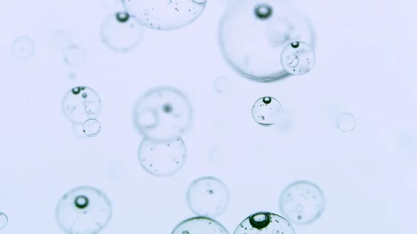 Movendo bolhas em fundo branco — Fotografia de Stock
