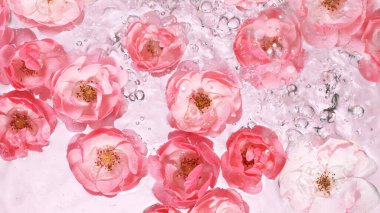 Su yüzeyinde güller açar.