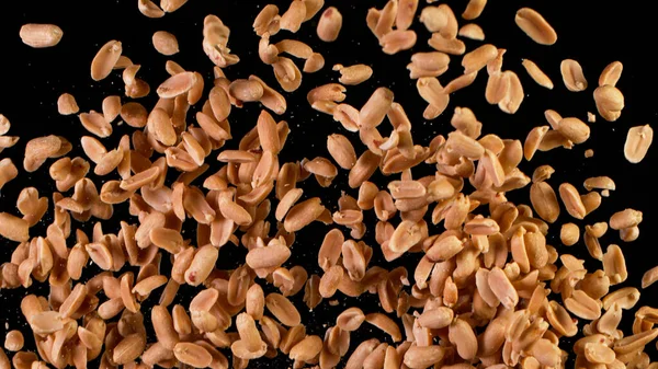 Freeze Motion Shot of Flying Roasted Peanuts. — Fotografia de Stock